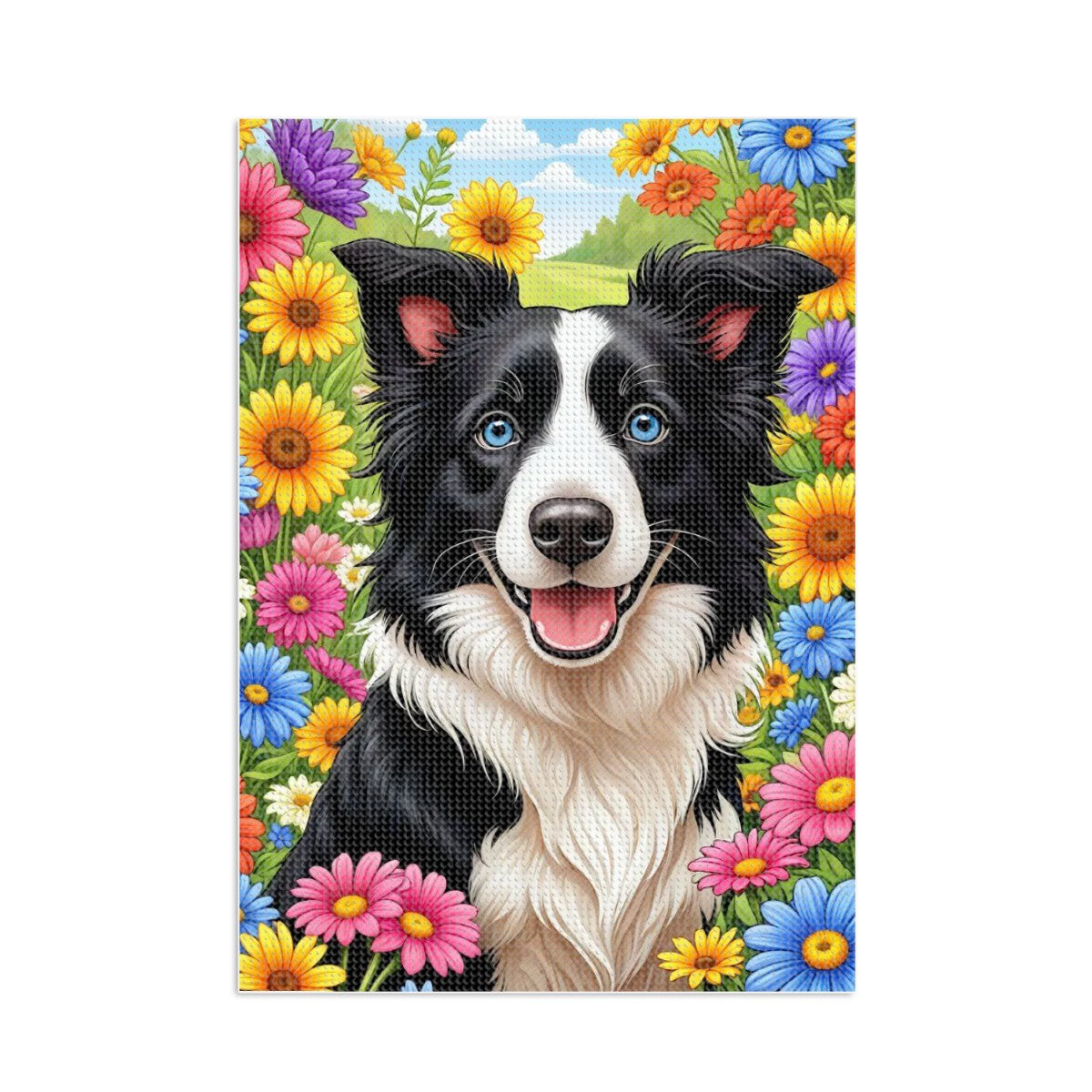 Meadow-Bound Border Collie