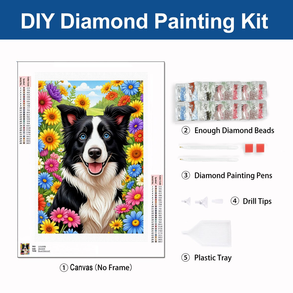 Meadow-Bound Border Collie